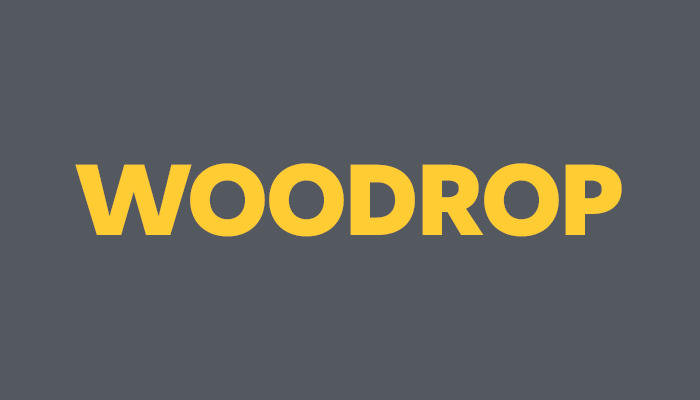 Curso sobre Dropshipping con WooCommerce: WOODROP