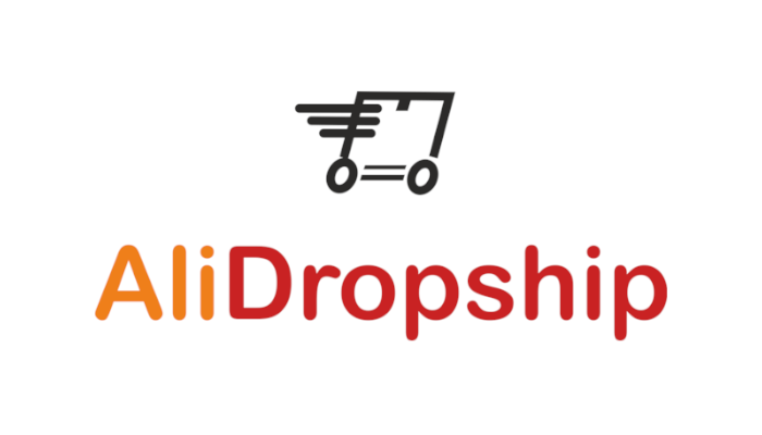 El mejor plugin para dropshipping en WordPress: Alidropship