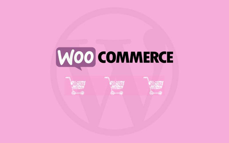 100% recomendado para WordPress y WooCommerce